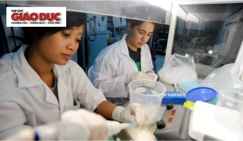 Hiệu suất của các tạp chí Scopus trong lĩnh vực khoa học nông nghiệp và sinh học ở Indonesia