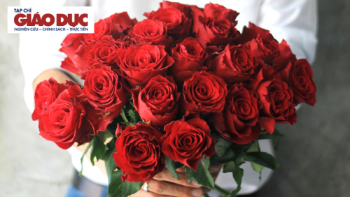 Vì sao tặng hoa hồng vào ngày Valentine - hay bất kỳ ngày nào khác - không phải là lựa chọn tốt nhất?