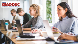 Khảo sát về việc sử dụng AI của sinh viên tại một trường đại học kĩ thuật