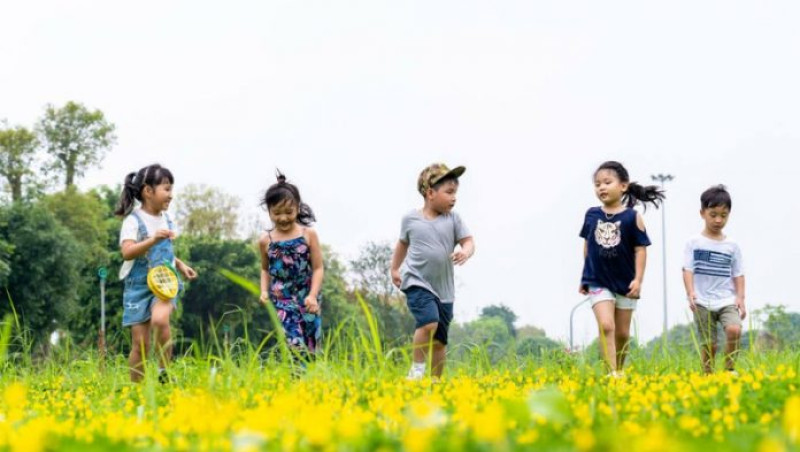 Tăng cường các hoạt động quản lý giáo dục và đảm bảo an toàn cho trẻ em, học sinh, sinh viên trong dịp nghỉ hè 2025