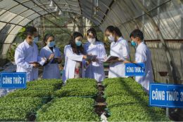 Cơ chế tài chính tạo đòn bẩy để phát triển các ngành khoa học cơ bản