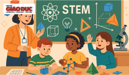 Phát triển chuyên môn giáo viên STEM: 
